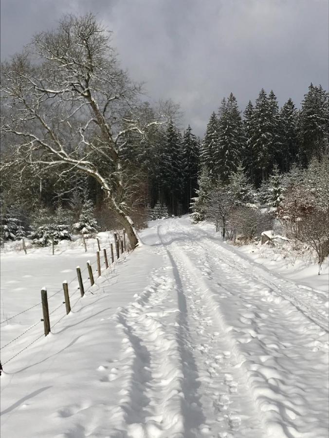 Ferienwohnung Gretel Von Birne Winterberg Kültér fotó
